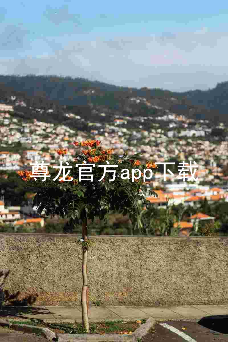 尊龙官方app下载