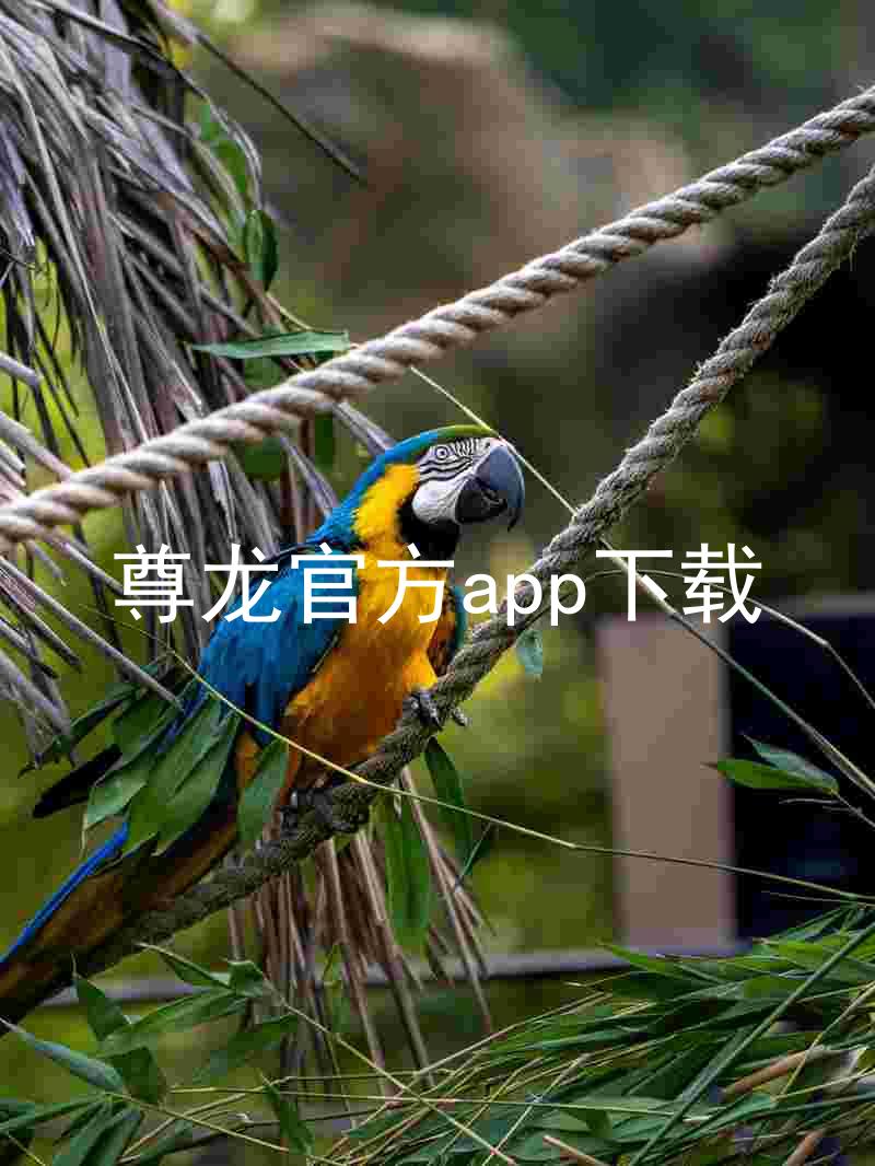 尊龙官方app下载