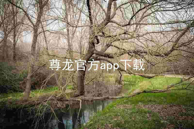 尊龙官方app下载