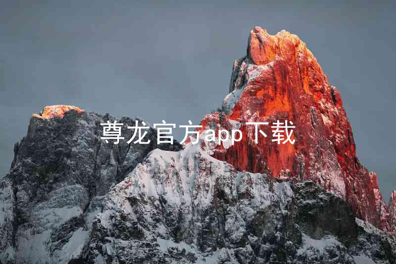 尊龙官方app下载