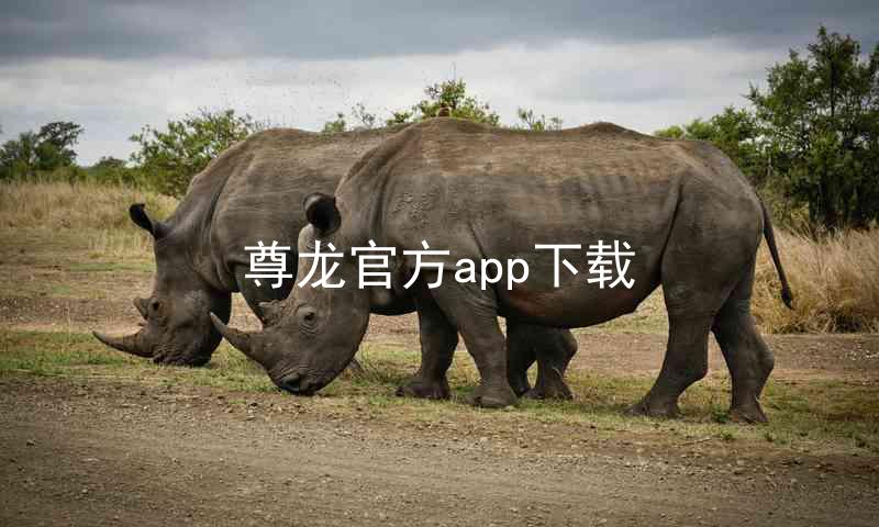 尊龙官方app下载