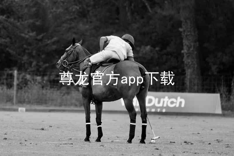 尊龙官方app下载
